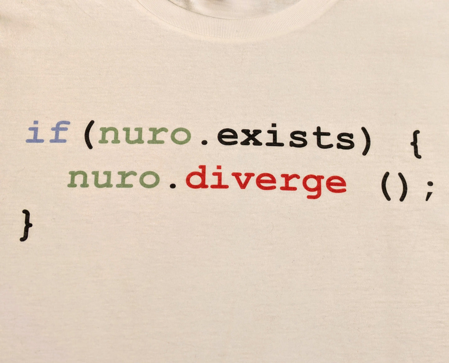 Jave code on white tee stating that if nuro exists then nuro must diverge