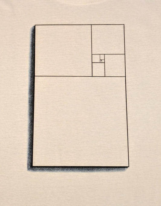 Fine line illustration of the golden ratio within a rectangle 