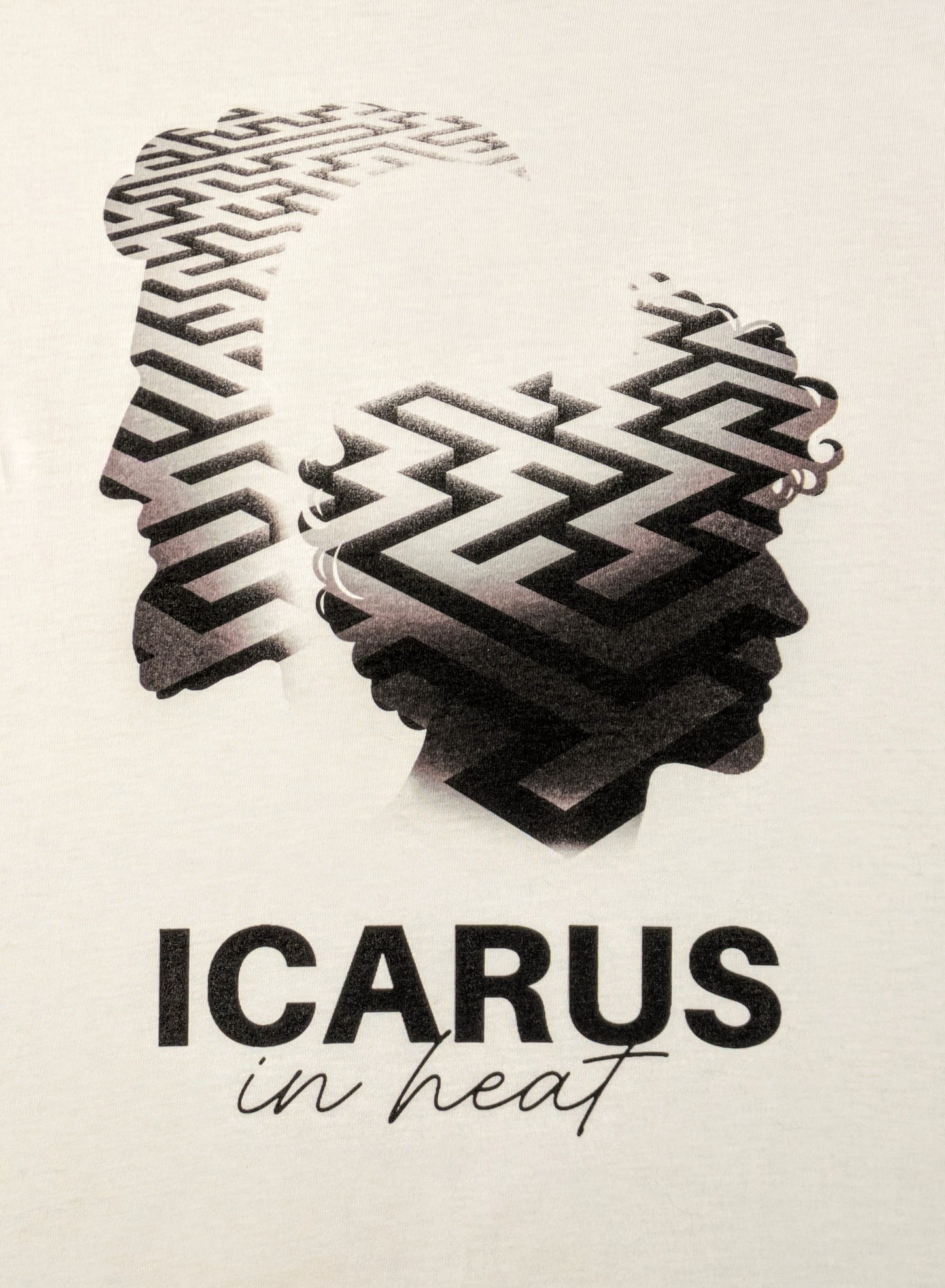 Artistic design of a maze-like pattern inside two male head silhouettes with 'ICARUS in heat' text on a light background