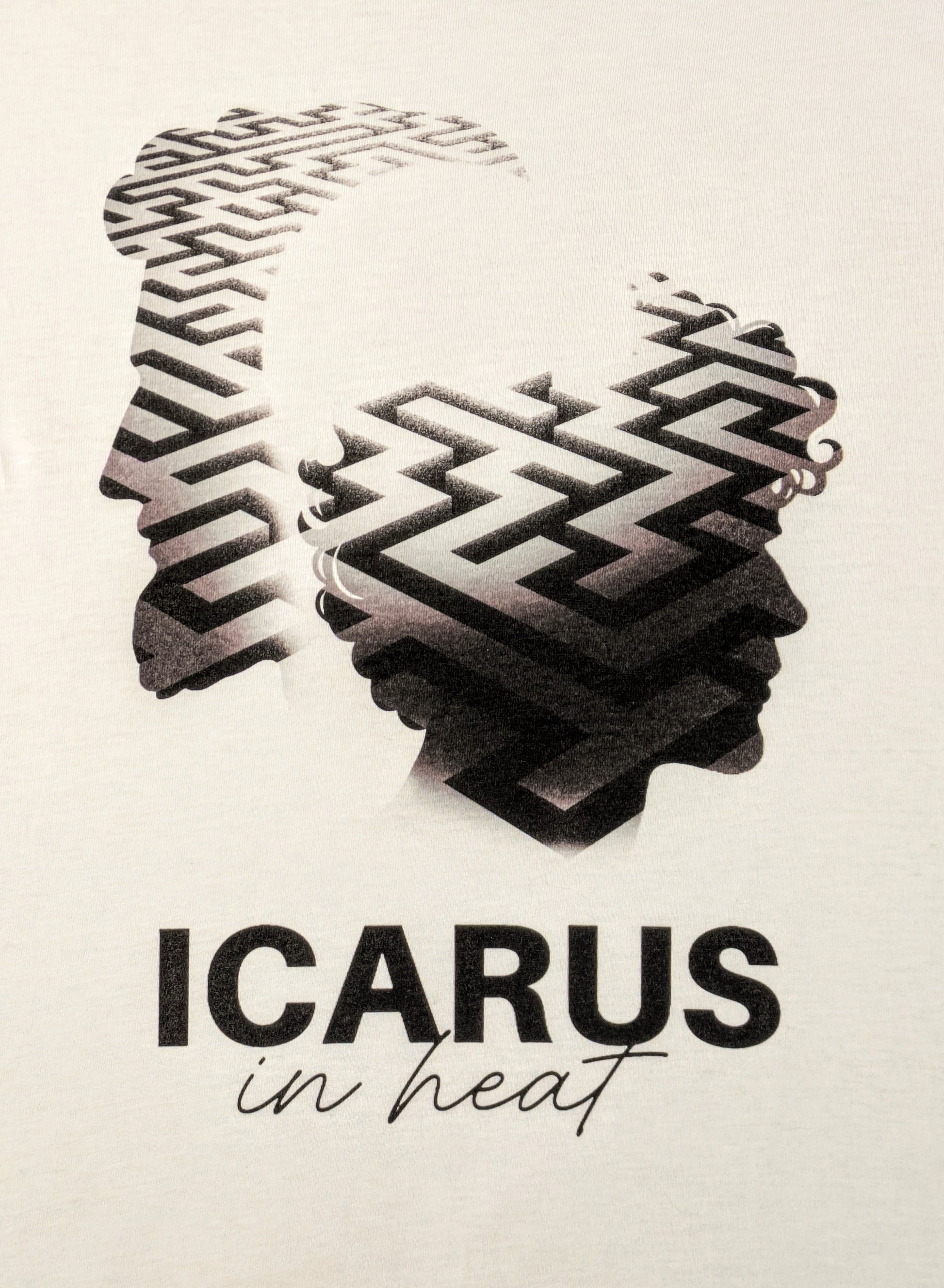 Artistic design of a maze-like pattern inside two male head silhouettes with 'ICARUS in heat' text on a light background