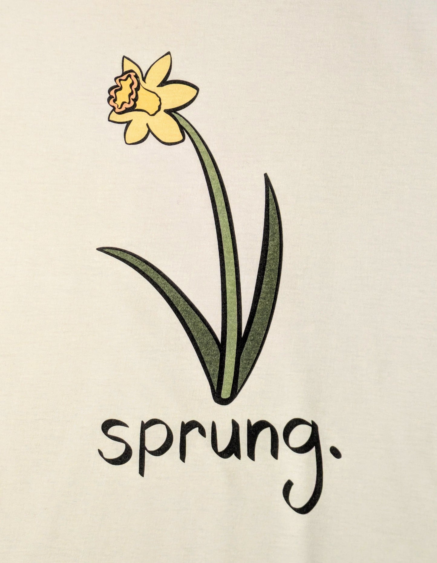 Yellow daffodil with the word 'sprung' on a white background