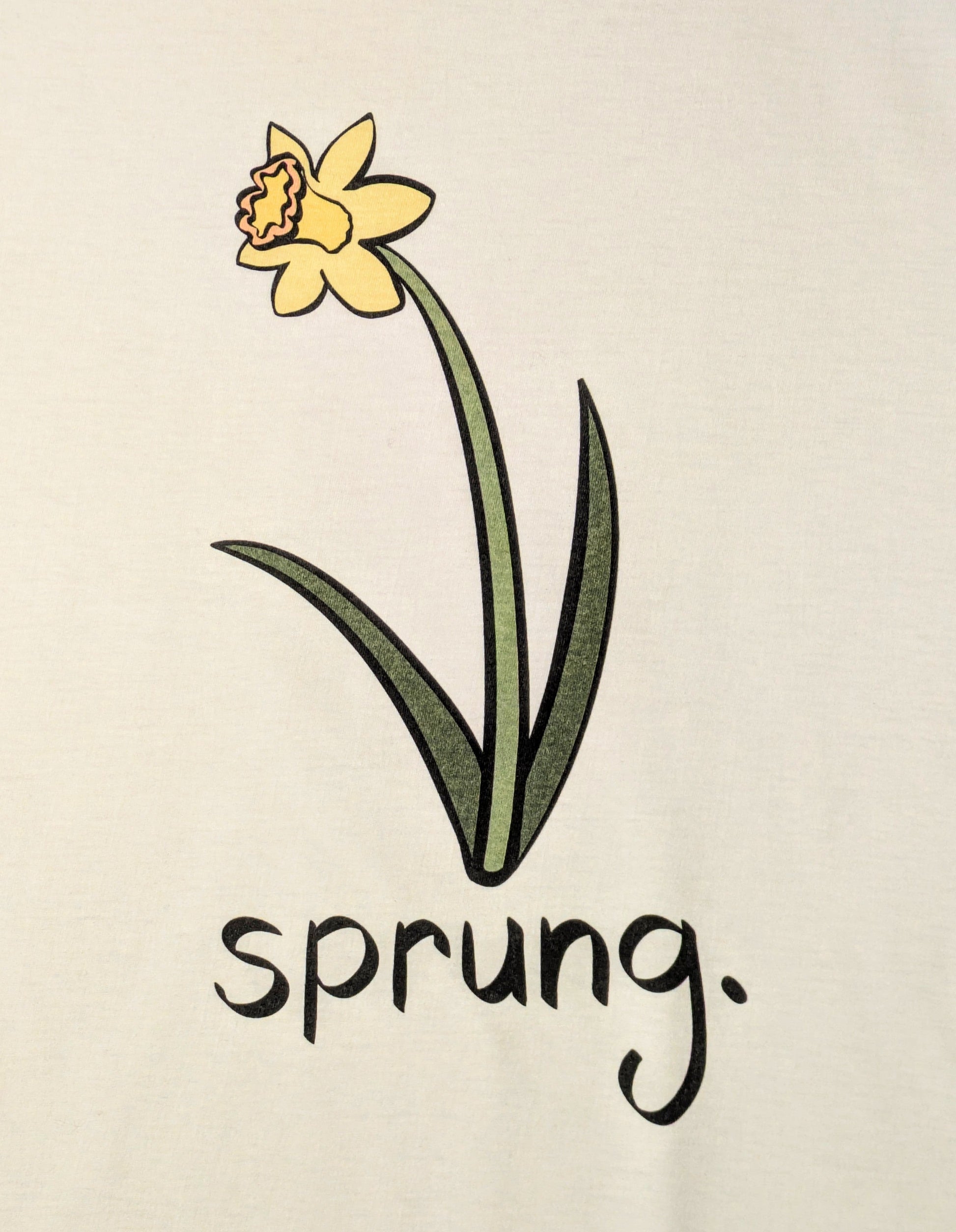 Yellow daffodil with the word 'sprung' on a white background